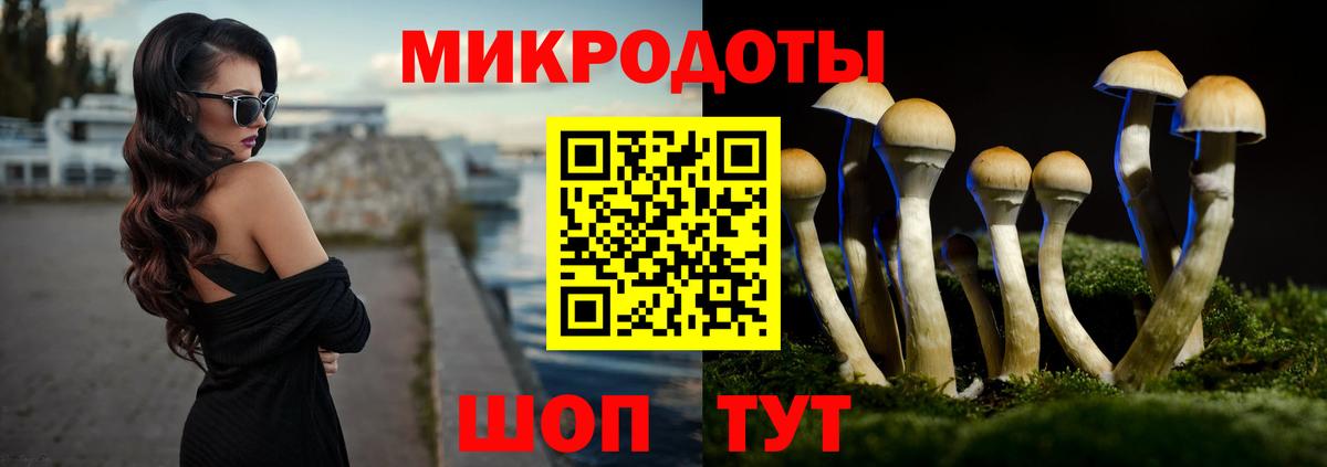 Галлюциногенные грибы мухоморы Старая Купавна