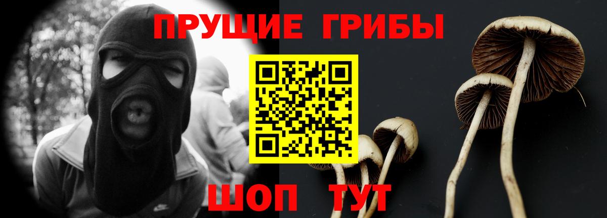 Старая Купавна  Псилоцибиновые грибы Psilocybine cubensis  Псилоцибиновые грибы Psilocybine cubensis  Вход с VPN 